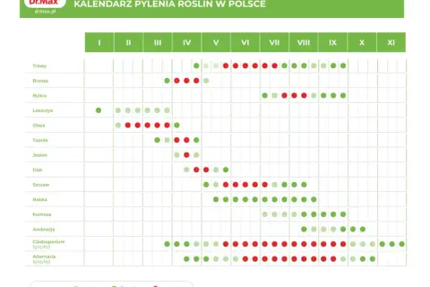 Kwiecień to czas pylenia brzozy, leszczyny, olchy, topoli i jesionu. Intensywność pylenia oznaczona kropkami: niskie (jasnozielone), średnie (zielone), wysokie (czerwone).