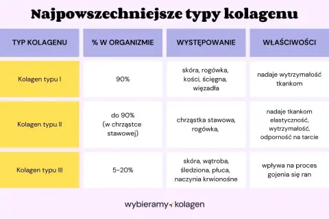 Kolagen typu I nadaje wytrzymałość tkankom, typu II elastyczność, a typu III wpływa na gojenie się ran.