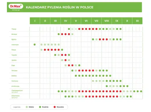 Kwiecień: brzoza czy infekcja? Kalendarz pylenia i porady
