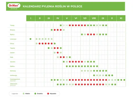 Co pyli w marcu? Alergia czy przeziębienie - Sprawdź!